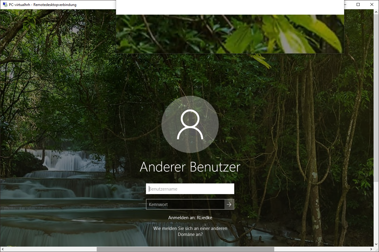 RDPNutzung3 RDPNutzung3